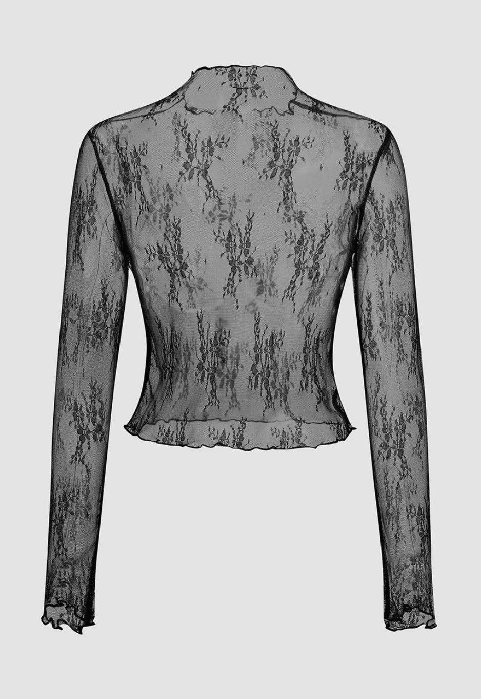 Lace Sheer/mesh Top