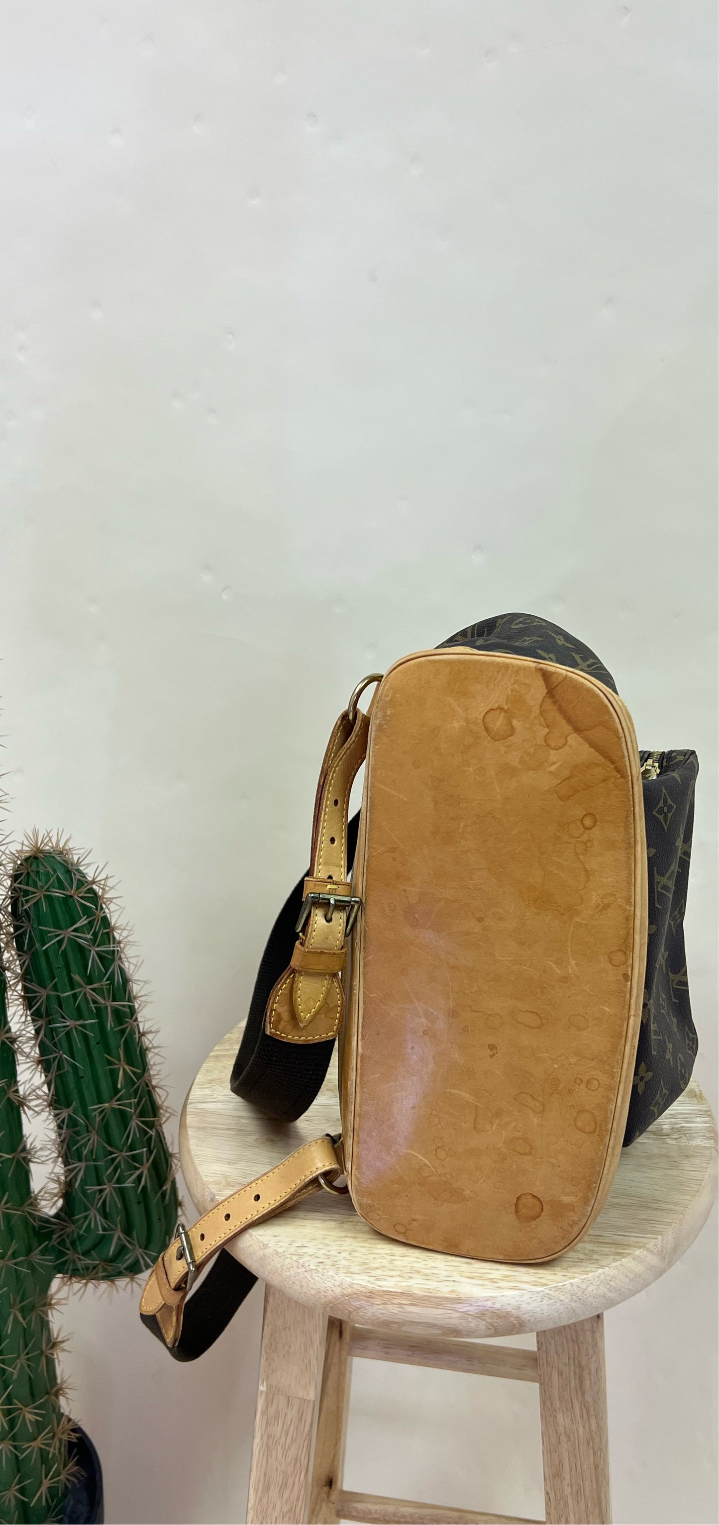 #9 Louis Vuitton backpack