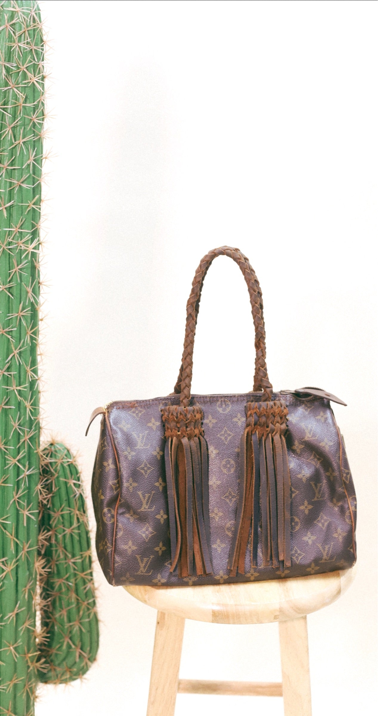 Speedy Revamped bag Louis Vuitton