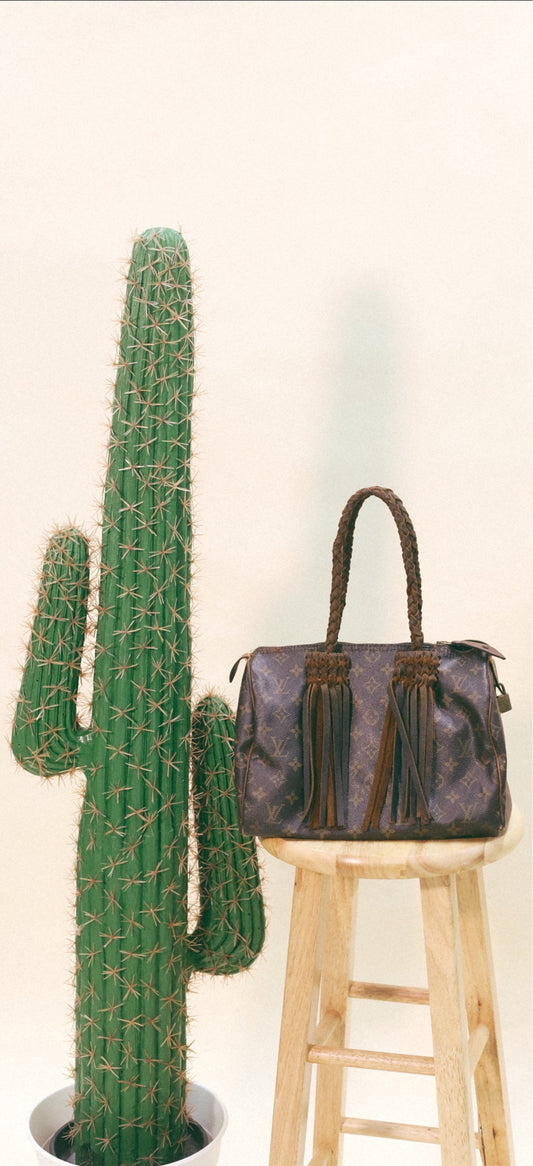 Speedy Revamped bag Louis Vuitton