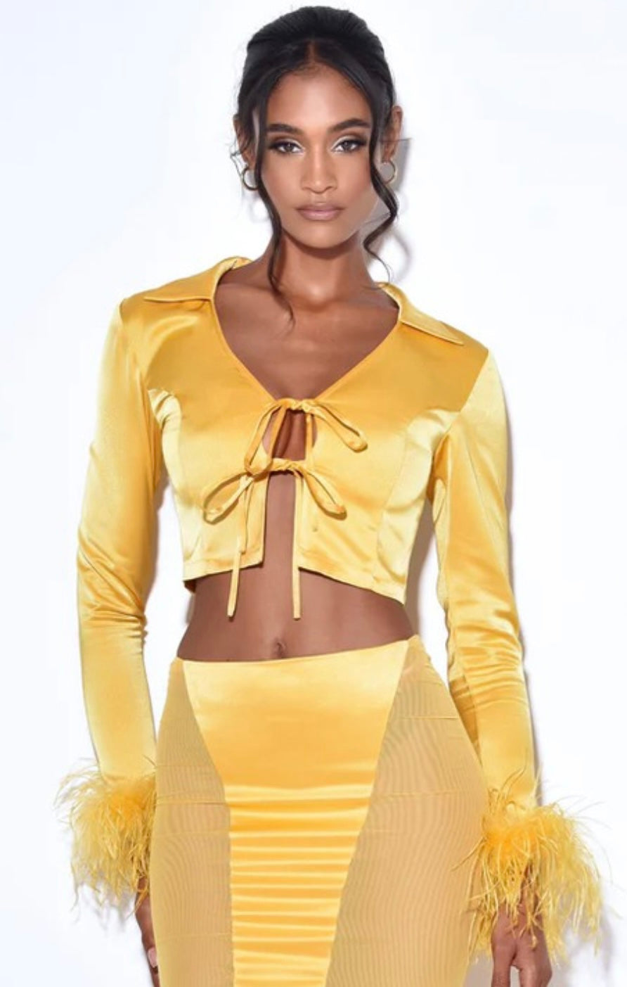 Yellow Feather Satin Top