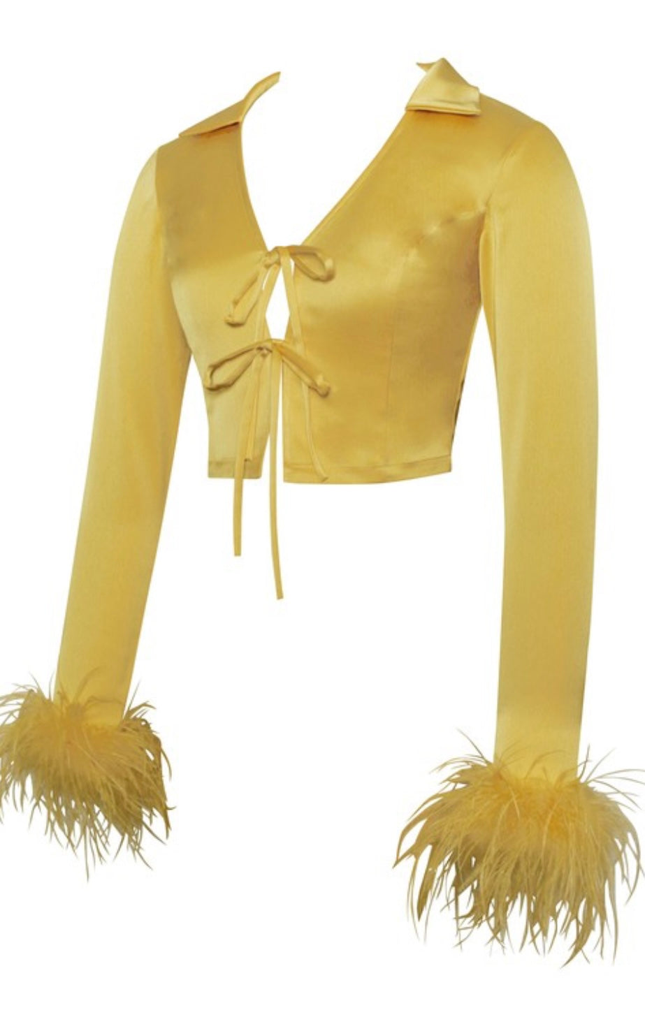 Yellow Feather Satin Top