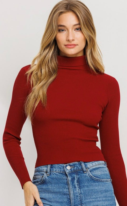 Turtle Neck Slim Top