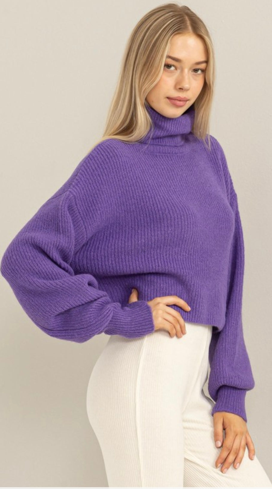 Wisteria Turtle Neck Top