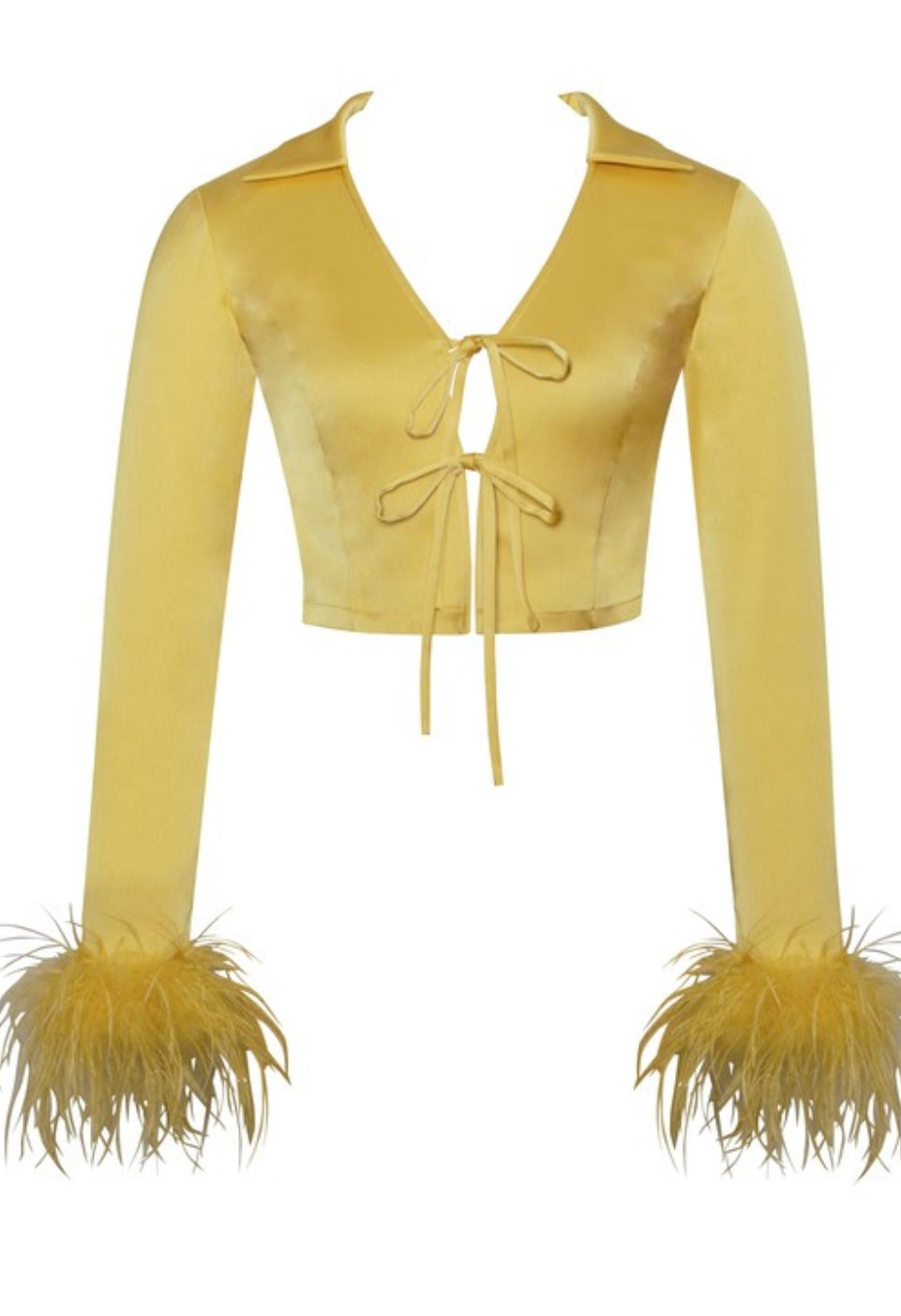 Yellow Feather Satin Top