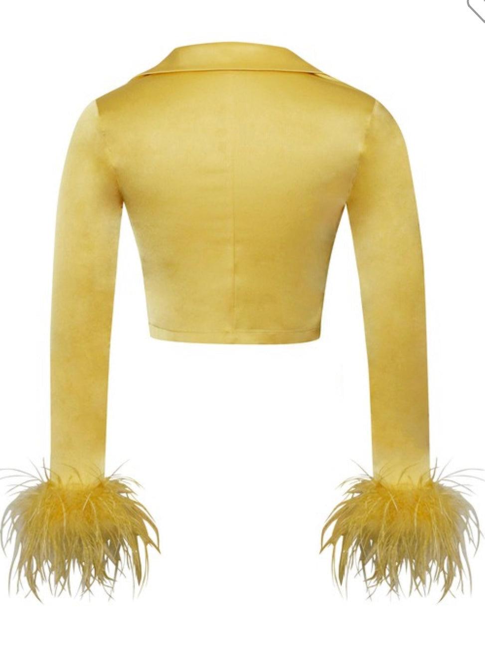 Yellow Feather Satin Top